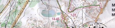Orienteering map - Volga expanses 2015. Day 2.