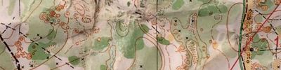 Orienteering map - Волжские просторы 2015 сб 1 день