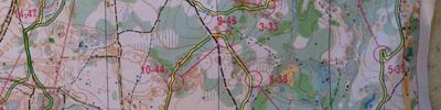 Orienteering map - Волжские просторы 2 день