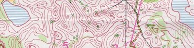 Orienteering map - Русь спринт