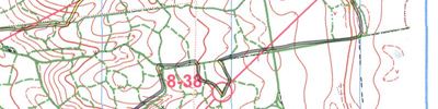 Orienteering map - Чемпионта России